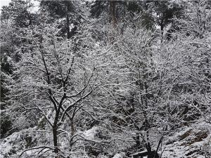 DSC00759