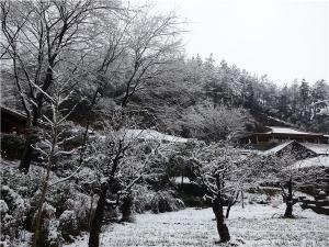DSC00766