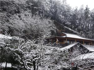 DSC00768