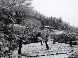 DSC00771