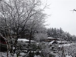 DSC00772