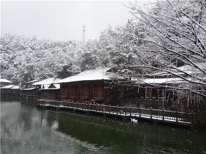 DSC00776