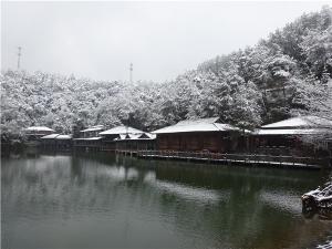 DSC00780