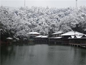 DSC00782