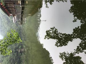 IMG_0138