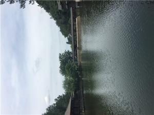 IMG_0205