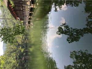 IMG_0700