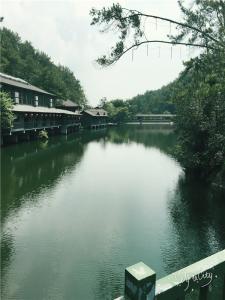IMG_1127
