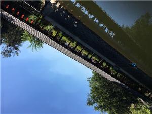 IMG_1401