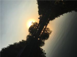 IMG_1650