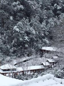 山里山雪景
