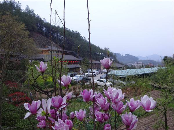 DSC00412