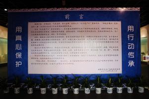 藏品展览