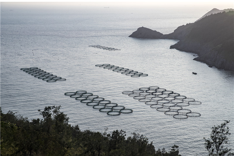 网箱养殖1