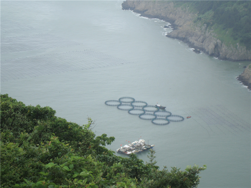 网箱养殖4