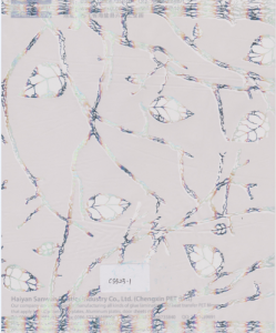 cs523-1