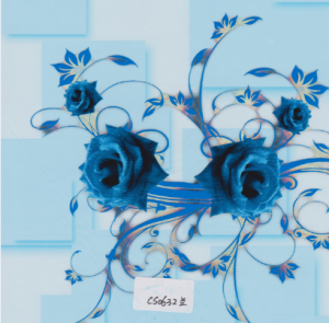 cs0632_blue