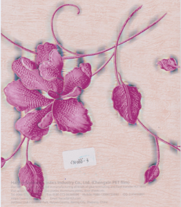 cs0666-3
