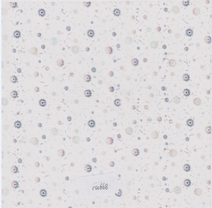 cs0668