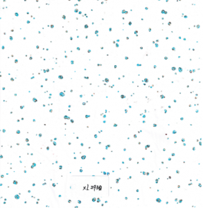 XL293_white