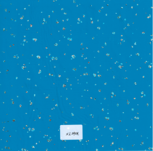 XL293_blue