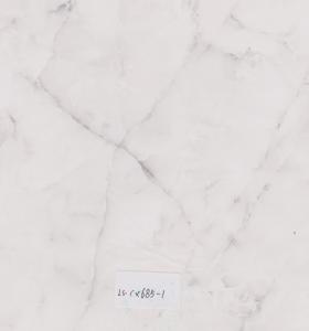 LS-CX685-1