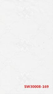 SW30008-169