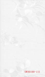 SW30100-111