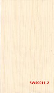 SW50011-2