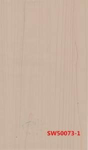 SW50073-1