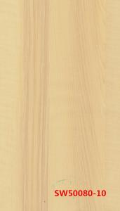 SW50080-10