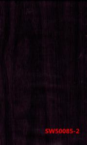 SW50085-2