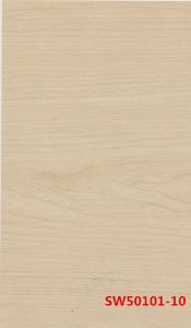 SW50101-10
