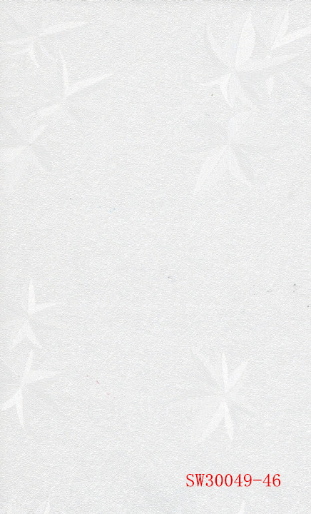 SW30049-46