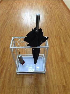 Umbrella frame 