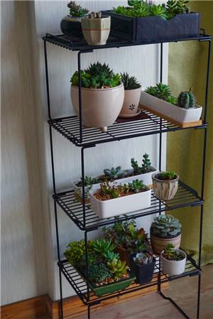 goods rack