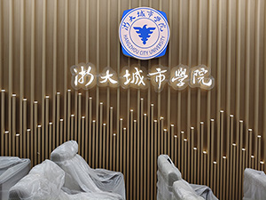浙大城市学院发光字