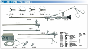 Hysteroscope