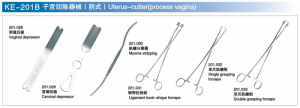 Uterus-cutter（process vagina）
