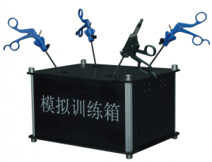 Simulated trainning box