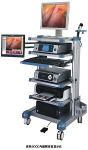 Endoscope display systems