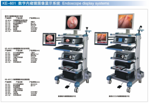 Endoscope display systems