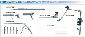 Endoscopic Discectomy system