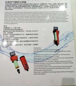 多明尼克系列 (9)