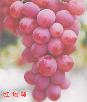 example-image