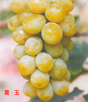 example-image