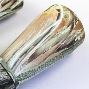 双筒望远镜36