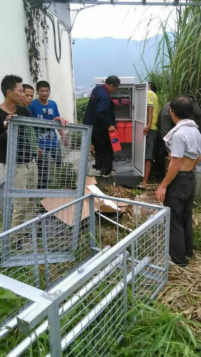 搬运案例