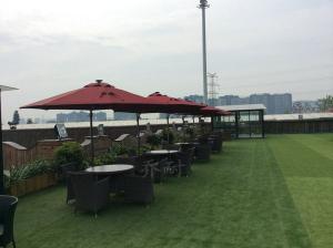 花园酒店楼顶花园