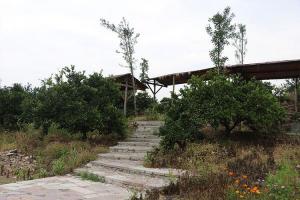 阿洋农庄烧烤长廊